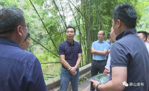 代軍深入龍華鎮(zhèn)調(diào)研指導(dǎo)，聚焦旅游項目開發(fā)新藍(lán)圖